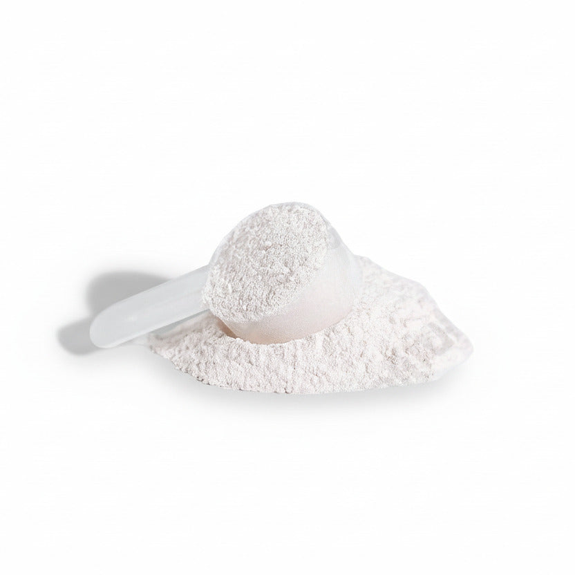 BCAA Shock Powder (Fruit Punch)